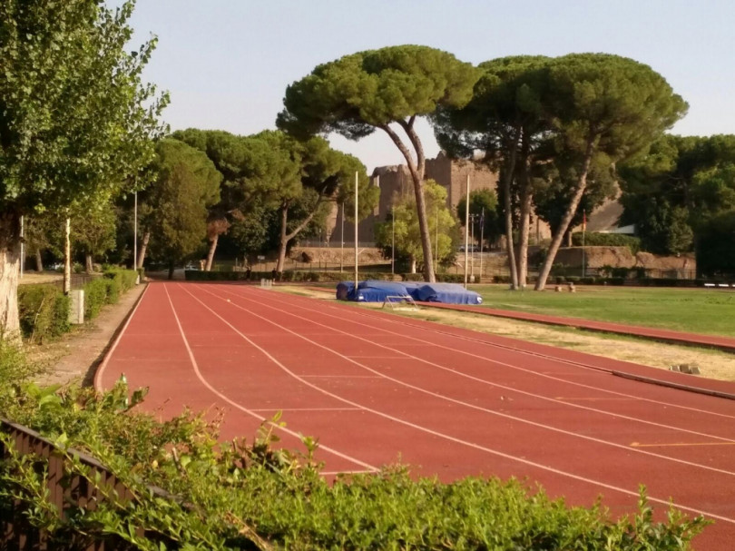 «Ma quanti alberi saranno da tagliare per la nuova pista d'atletica?»